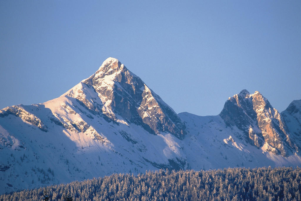 Appartement Residenz Seefeld ゼーフェルト・イン・チロル 部屋 写真